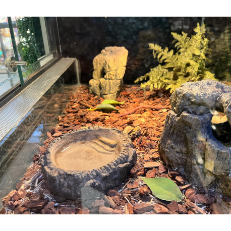 Taça Rochosa - Ceramic Nature