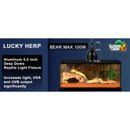 Cúpula Suporte de Luz para Répteis 14cm - LUCKY HERP