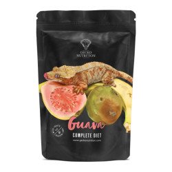 Guava - Gecko Nutrition