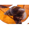 Caracol Gigante Loiro - Lissachatina immaculata