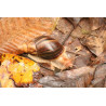 Caracol Gigante Loiro - Lissachatina immaculata