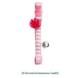 Coleira Rosa c/ Riscas Hunter