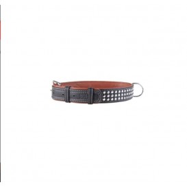 Collar SOFT Coleira de Couro c/ decor. metalicas L35mm C57-71cm