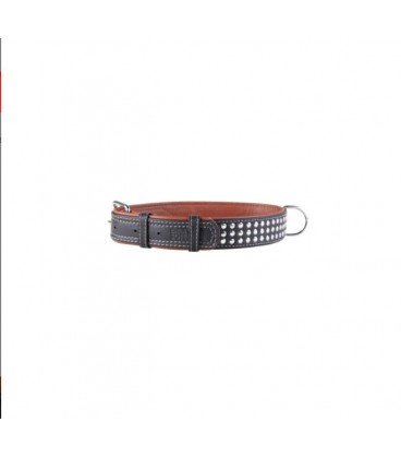 Collar SOFT Coleira de Couro c/ decor. metalicas L35mm C57-71cm