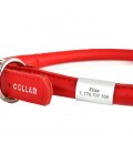 Collar Glamour Coleira De Couro c/ identificação metalica L25mm C38-49cm