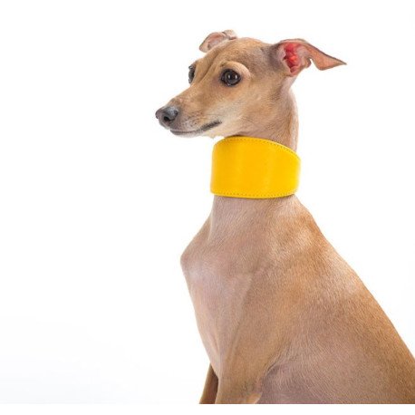 Collar Glamour Coleira De Couro p/ Galgos L20mm C34-40cm