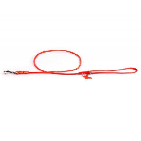 Collar Glamour Trela de Couro (L10mm C122cm)