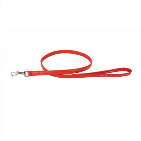 Collar Glamour Trela de Couro (L12mm C122cm)