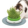 Germinador Senses 2.0  de Erva Gateira - Catit