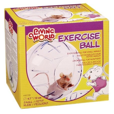 Bola de Exercício com Base peq. - Living World