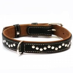 "CoLLaR SOFT" Coleira couro cravado negro (l15mm, c27-36cm)