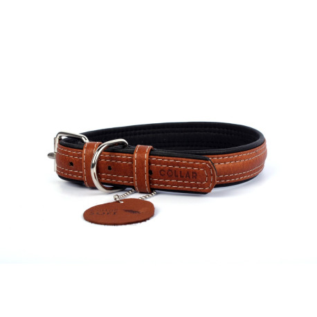 "CoLLaR SOFT" Coleira couro cravado negro (l25mm, c38-49cm)