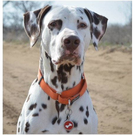 Medalha c/ Flôr - Red Dingo