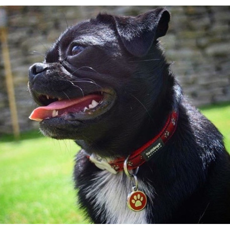 Medalha c/ Bandeira dos EUA - Red Dingo