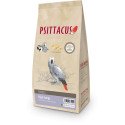 Fórmula Alta Energia - PSITTACUS