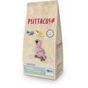Papa Neonatal - PSITTACUS