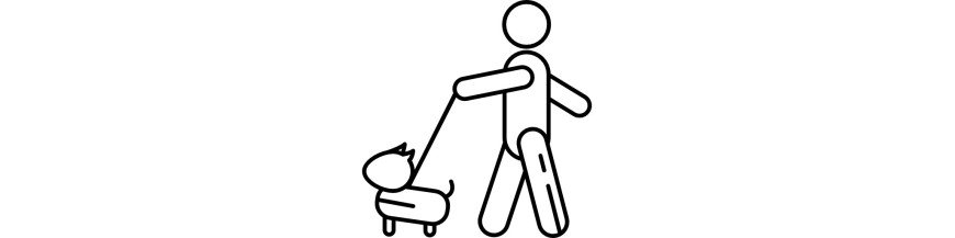 Acessórios Para o Passeio